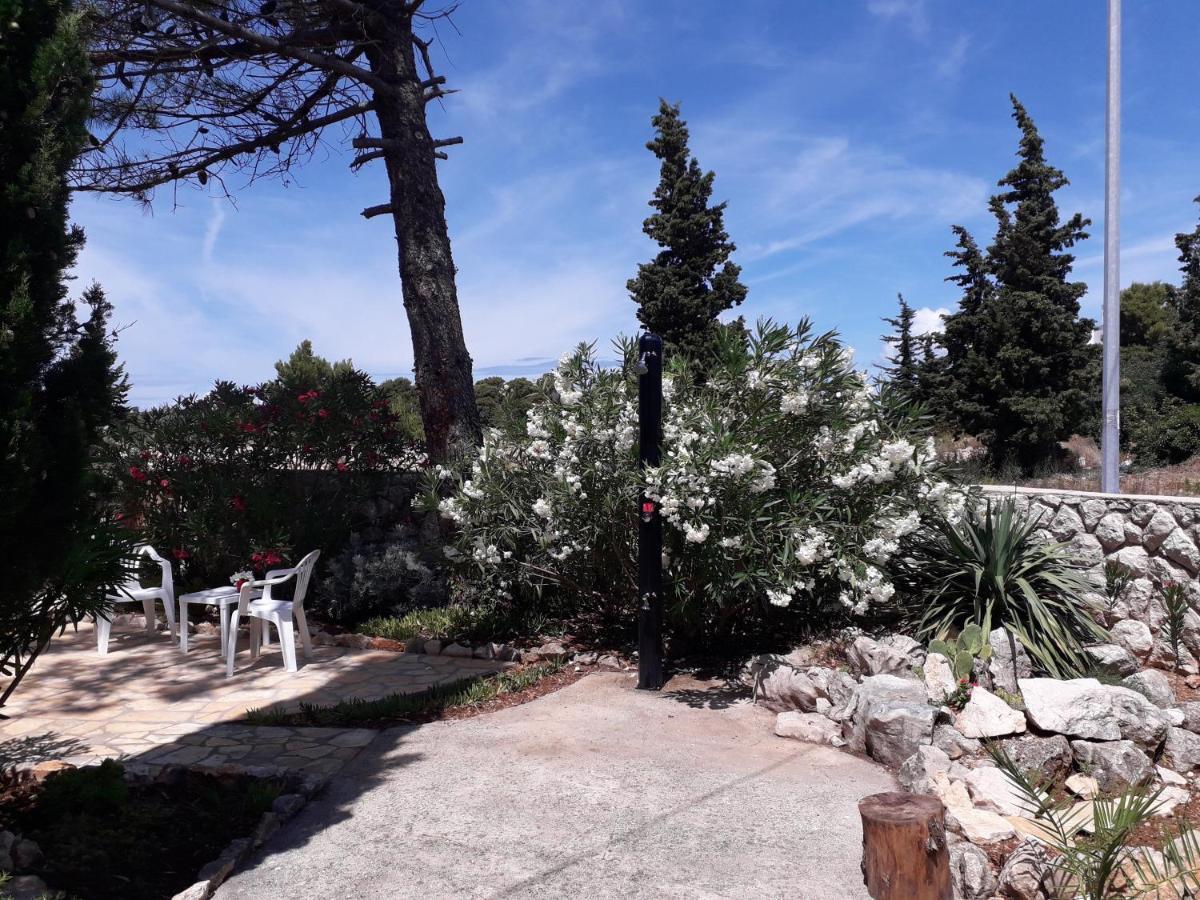 Holiday Home 诺瓦利娅 外观 照片